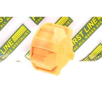 RADIATOR CAP