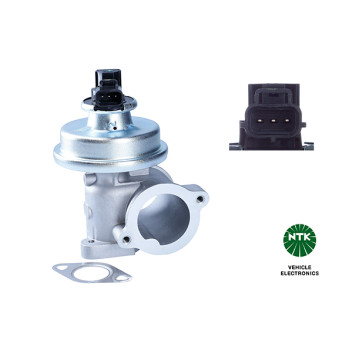 EGE3-A025