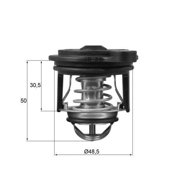 THERMOSTAT INTEGRAL image
