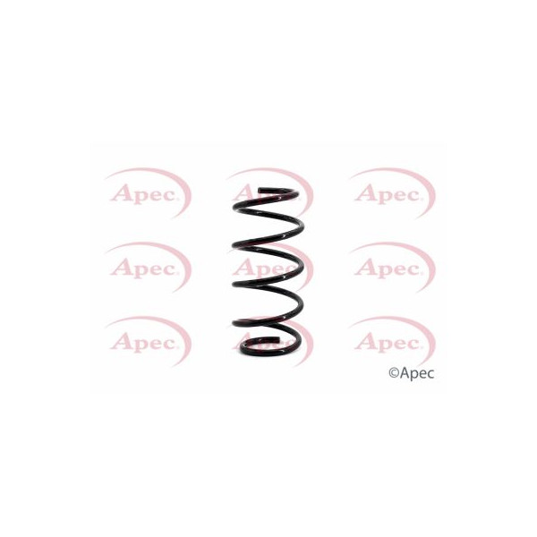 APEC COIL SPRING FRONT image