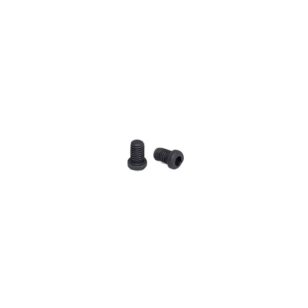BRAKE DISC SCREWS X2 image