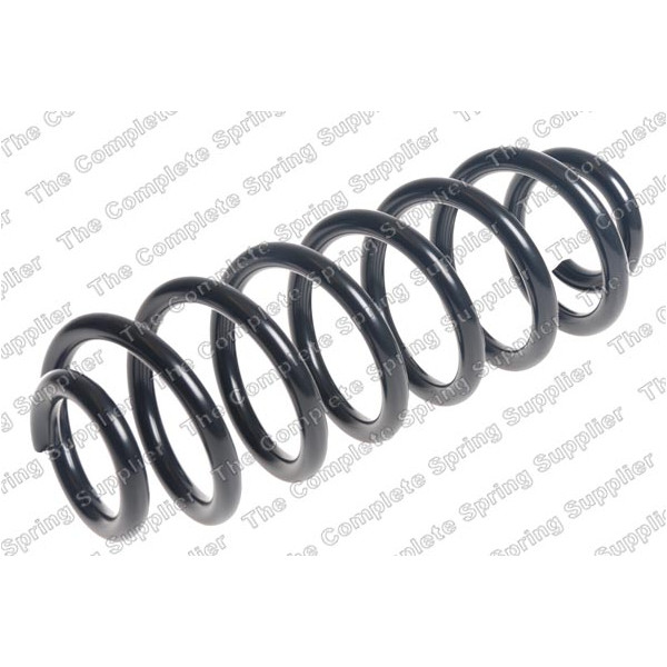 COIL SPRING REAR VW image