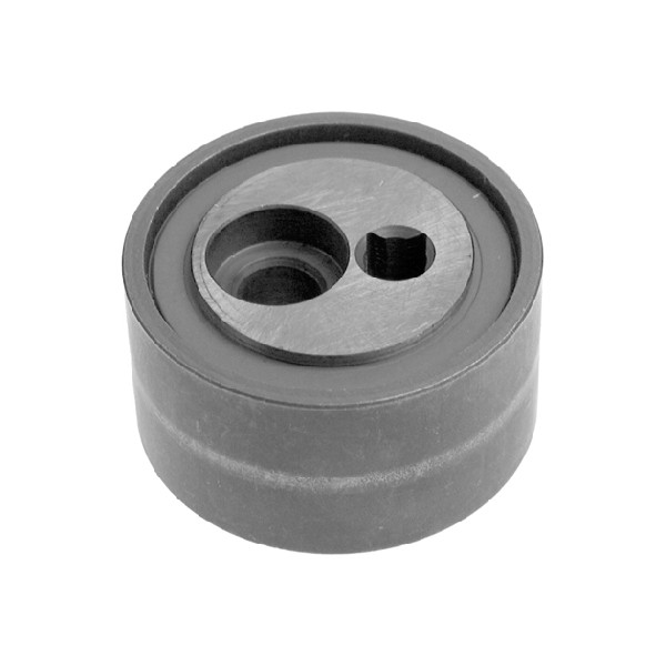 ABDS TENSIONER image