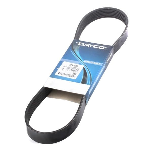 RIBBED POLY VEE AUXILIARY BELT image