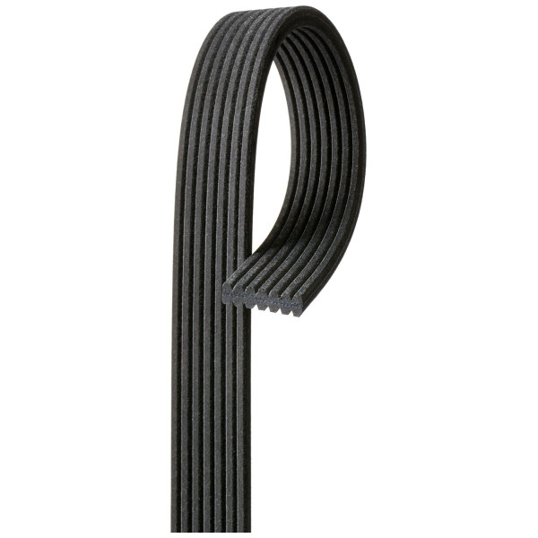 MICRO-V MULTI-RIBBED BELT image