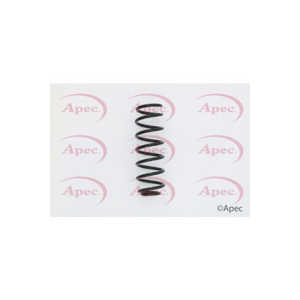 APEC COIL SPRING REAR image
