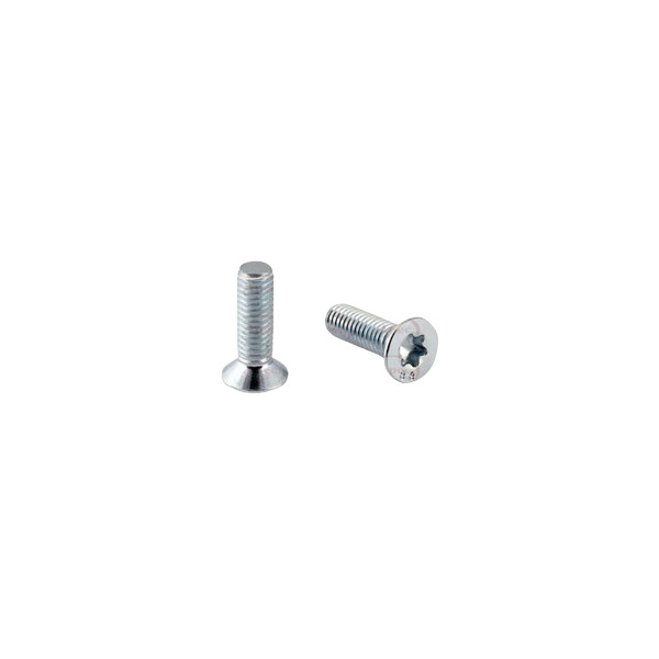 BRAKE DISC SCREWS X2 image