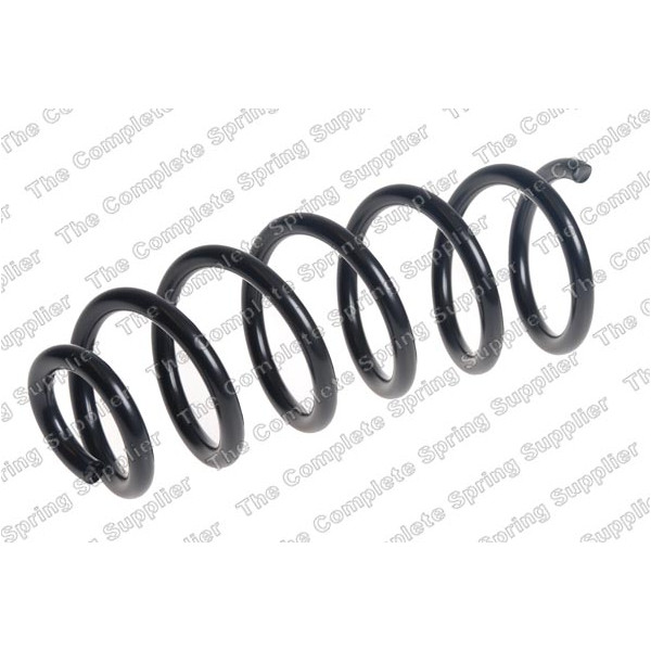 COIL SPRING REAR DACIA image