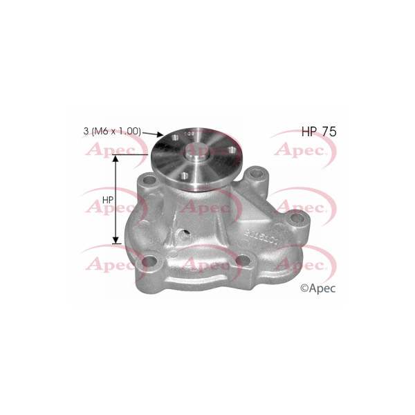 APEC WATER PUMP image