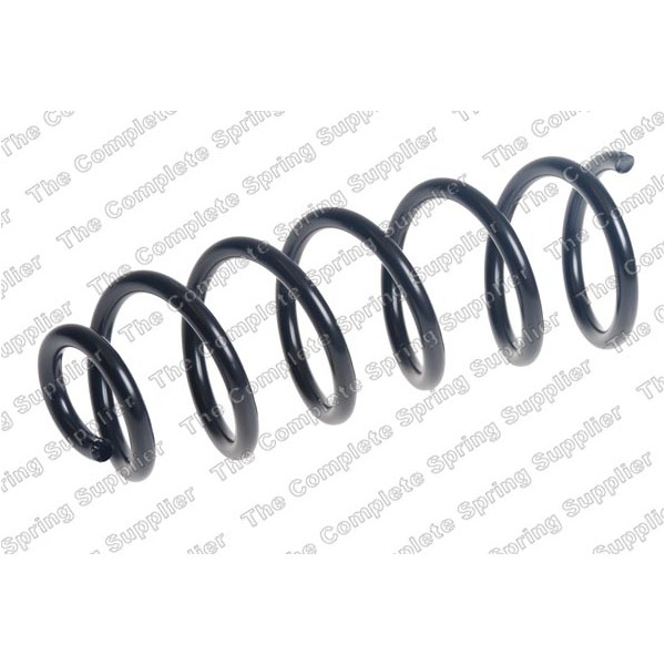 COIL SPRING REAR DACIA image