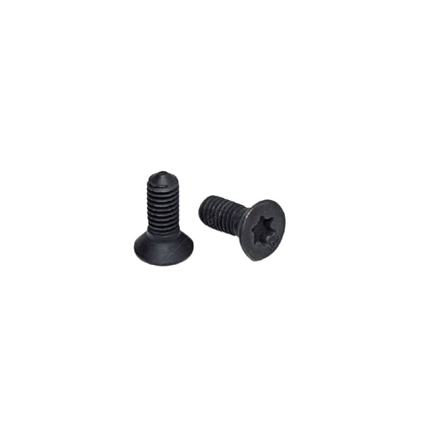 BRAKE DISC SCREWS X2 image