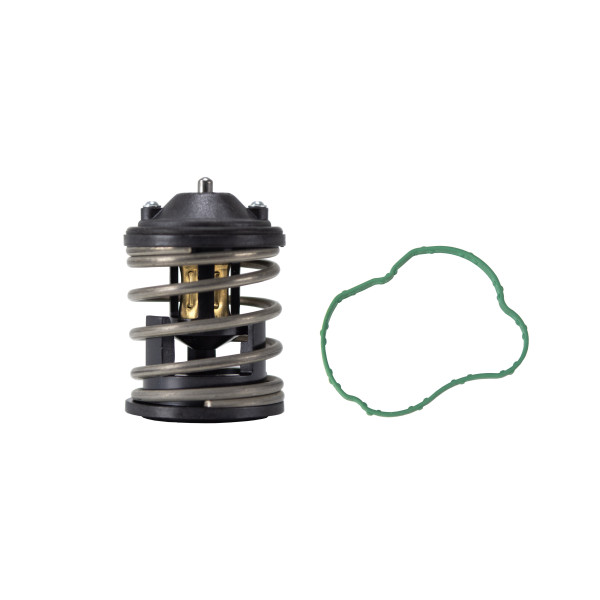 THERMOSTAT INSERT image