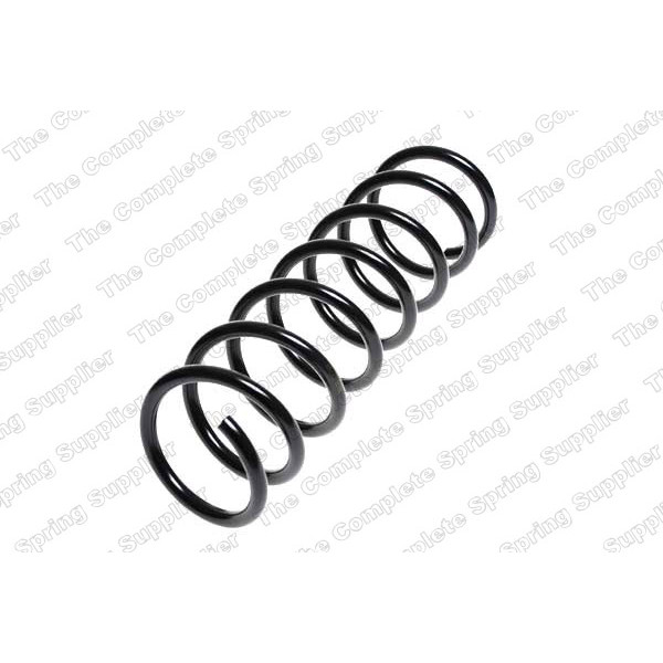 COIL SPRING REAR FORD image