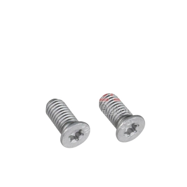 BRAKE DISC SCREWS X2 image