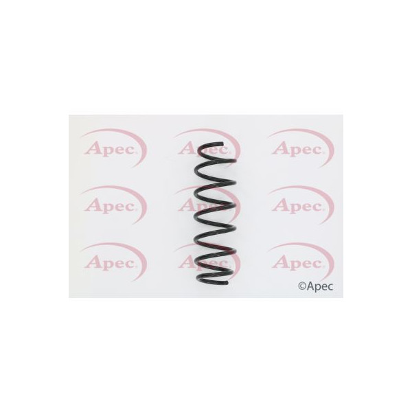 APEC COIL SPRING REAR image