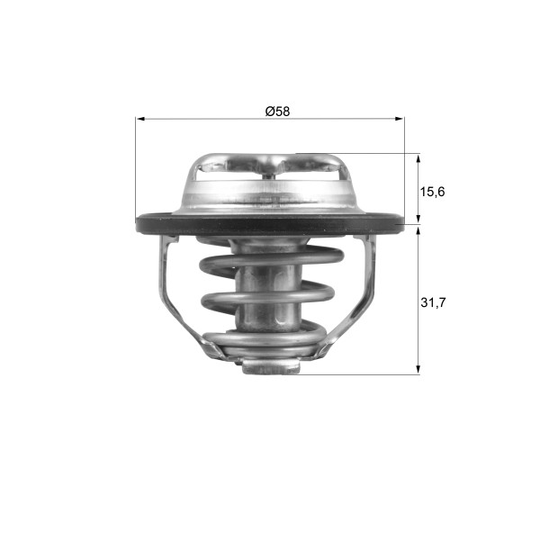 THERMOSTAT INSERT image