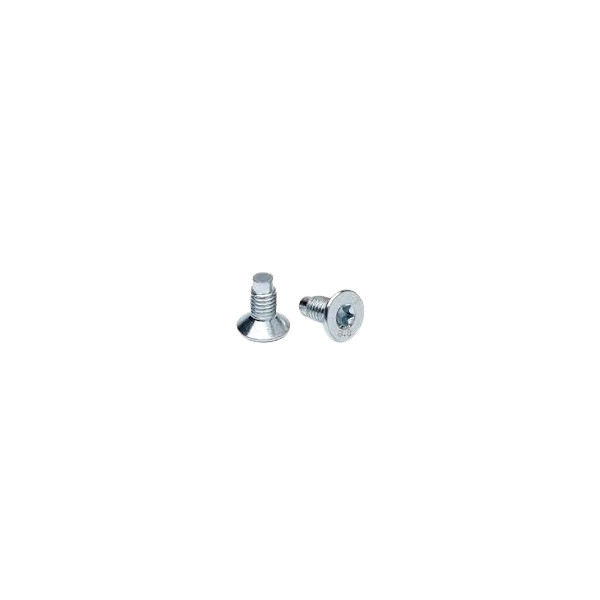 BRAKE DISC SCREWS X2 image