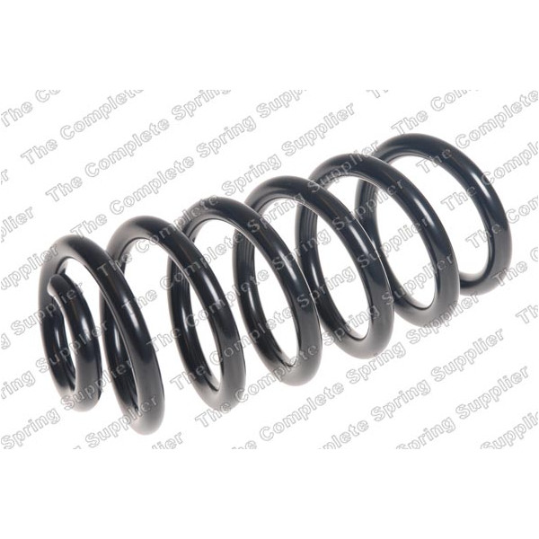 COIL SPRING REAR RENAULT image