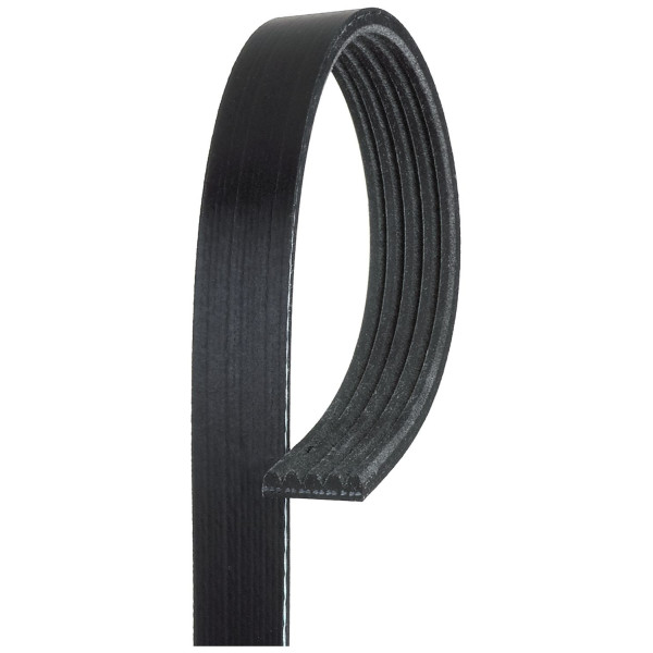 MICRO-V MULTI-RIB STRETCH FIT BELT image