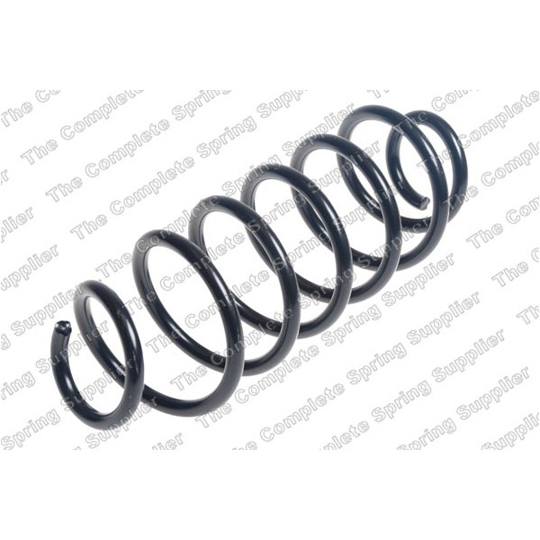 COIL SPRING REAR FORD image