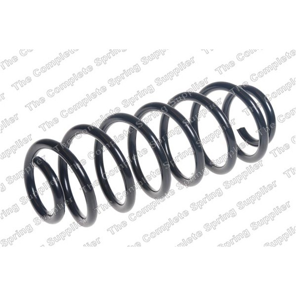 COIL SPRING REAR FORD image