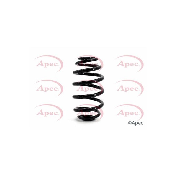 APEC COIL SPRING REAR image