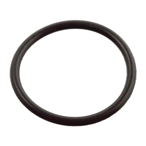 O-RING image