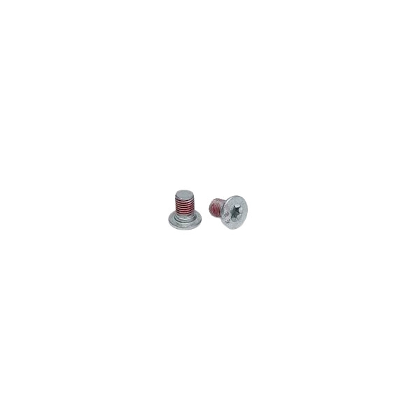 BRAKE DISC SCREWS X2 image