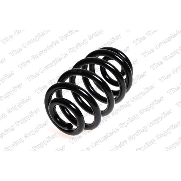 COIL SPRING REAR BMW image