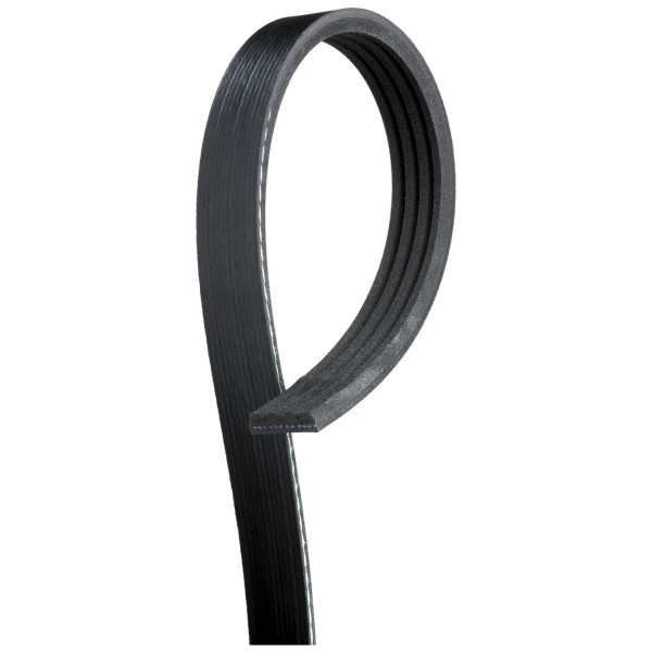 MICRO-V MULTI-RIBBED BELT image
