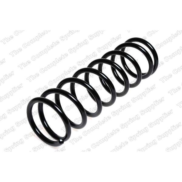 COIL SPRING REAR FORD image