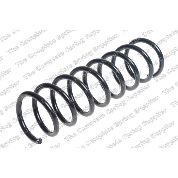 COIL SPRING REAR FORD image