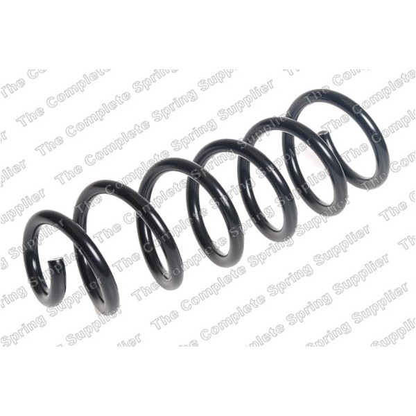 COIL SPRING REAR DACIA image