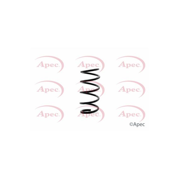 APEC COIL SPRING REAR image