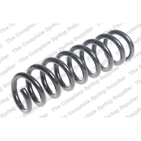 COIL SPRING REAR BMW image