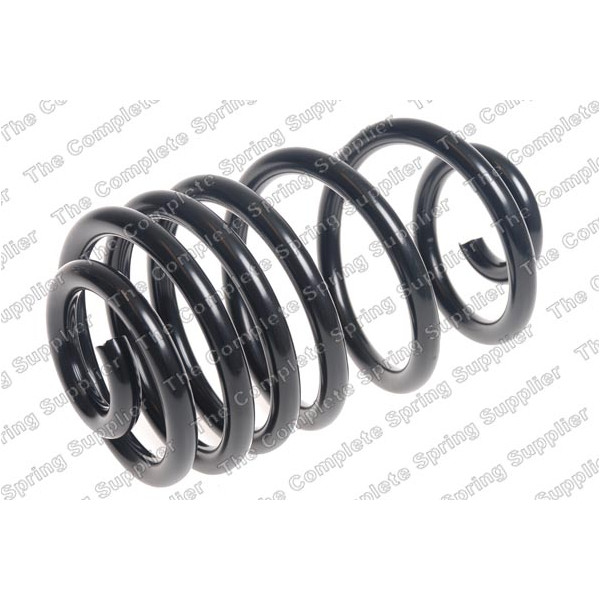COIL SPRING REAR CHE/OPEL/VAU image