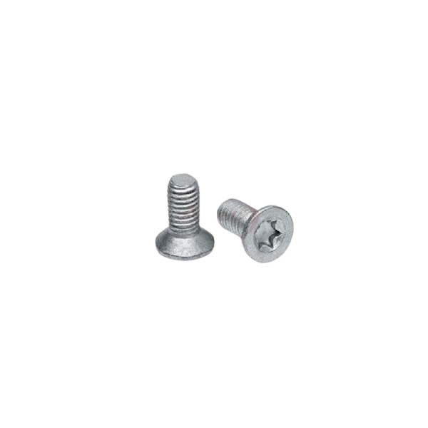 BRAKE DISC SCREWS X2 image