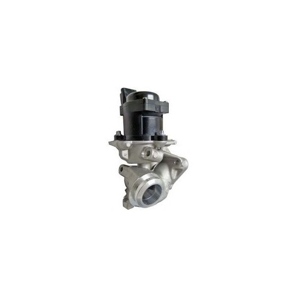 EGR VALVE image