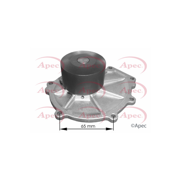 APEC WATER PUMP image