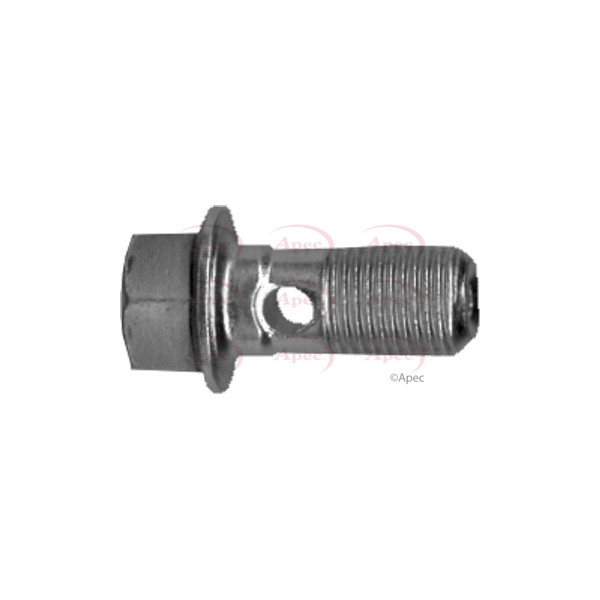 APEC BANJO BOLTS M10X1 image