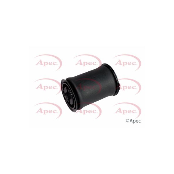 APEC AIR SPRING (REAR) image