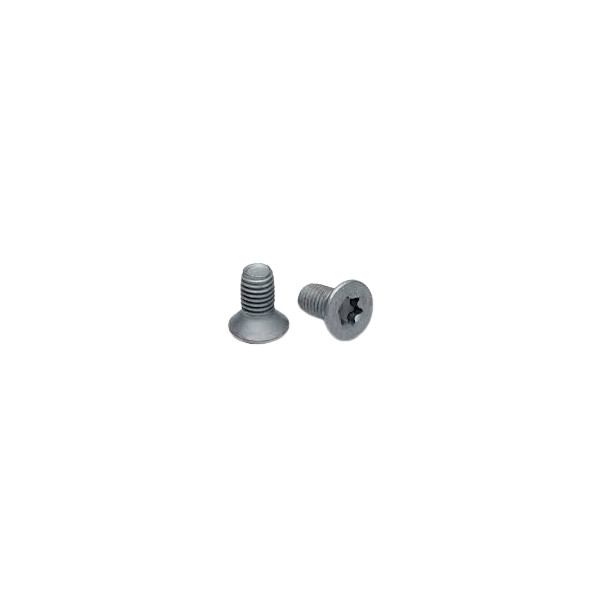 BRAKE DISC SCREWS X2 image