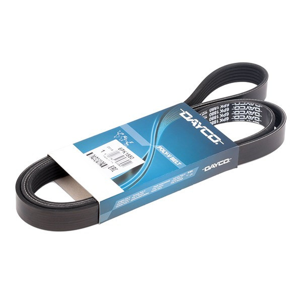 RIBBED POLY VEE AUXILIARY BELT image