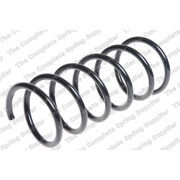 COIL SPRING REAR FORD image